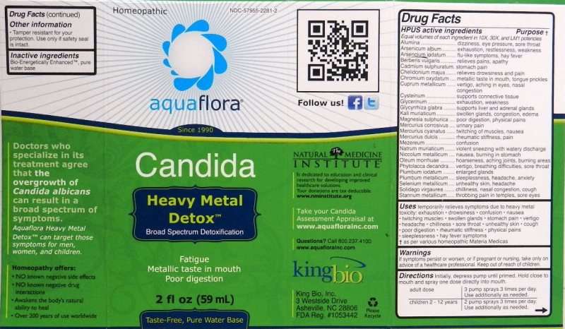 Candida  Heavy Metal Detox